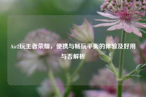 Air2玩王者荣耀，便携与畅玩平衡的体验及好用与否解析