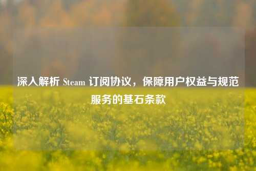 深入解析 Steam 订阅协议，保障用户权益与规范服务的基石条款