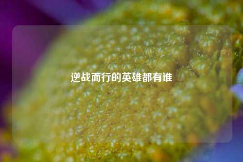 逆战而行的英雄都有谁