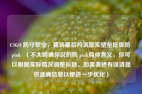 CSGO 防守职业,赛场幕后构筑坚实壁垒抵御防 pink (不太明确你说的防 pink具体含义,你可以根据实际情况调整标题,如果表述有误请提供准确信息以便进一步优化)