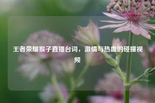王者荣耀猴子直播台词，激情与热血的碰撞视频