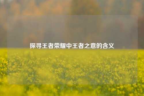 探寻王者荣耀中王者之意的含义
