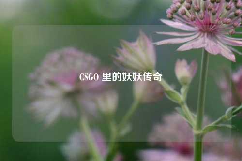 CSGO 里的妖妖传奇