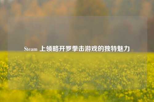 Steam 上领略开罗拳击游戏的独特魅力