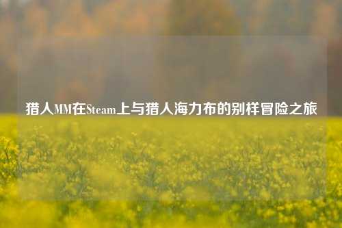 猎人MM在Steam上与猎人海力布的别样冒险之旅