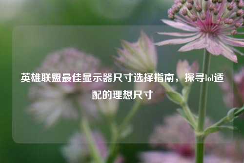 英雄联盟最佳显示器尺寸选择指南，探寻lol适配的理想尺寸