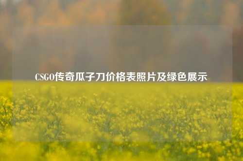 CSGO传奇瓜子刀价格表照片及绿色展示