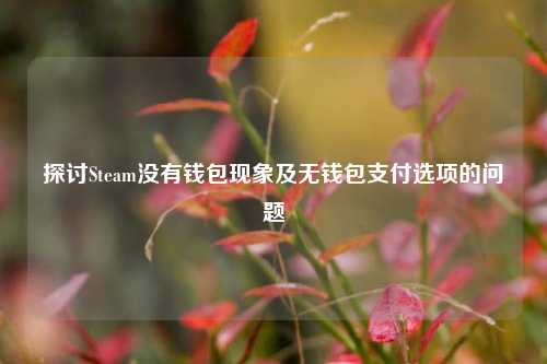 探讨Steam没有钱包现象及无钱包支付选项的问题