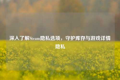 深入了解Steam隐私选项，守护库存与游戏详情隐私