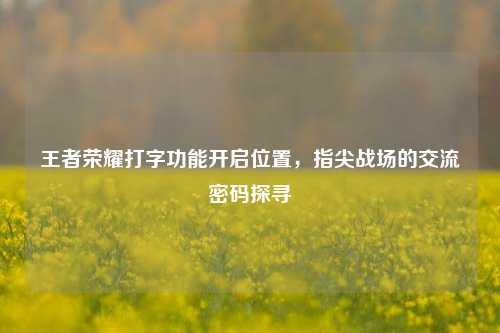 王者荣耀打字功能开启位置，指尖战场的交流密码探寻