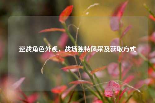 逆战角色外观，战场独特风采及获取方式