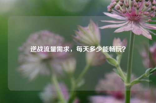 逆战流量需求，每天多少能畅玩？