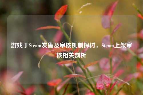 游戏于Steam发售及审核机制探讨，Steam上架审核相关剖析