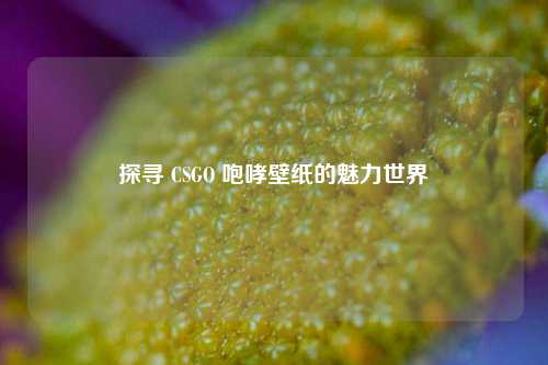 探寻 CSGO 咆哮壁纸的魅力世界