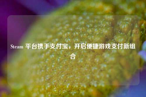 Steam 平台携手支付宝，开启便捷游戏支付新组合