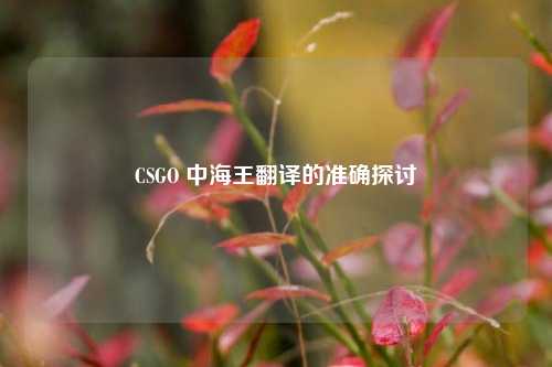 CSGO 中海王翻译的准确探讨