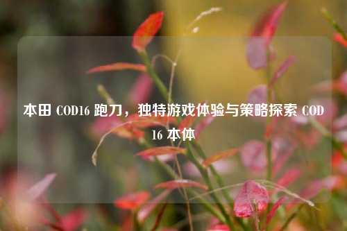本田 COD16 跑刀，独特游戏体验与策略探索 COD16 本体