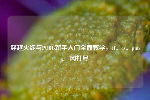 穿越火线与PUBG新手入门全面教学，cf、cs、pubg一网打尽