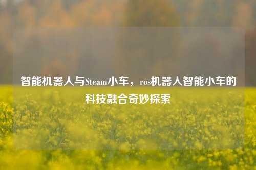 智能机器人与Steam小车，ros机器人智能小车的科技融合奇妙探索