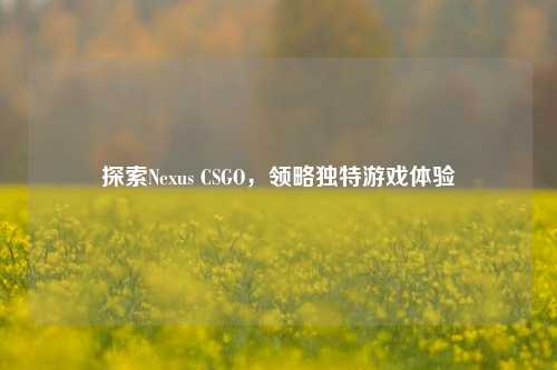 探索Nexus CSGO，领略独特游戏体验
