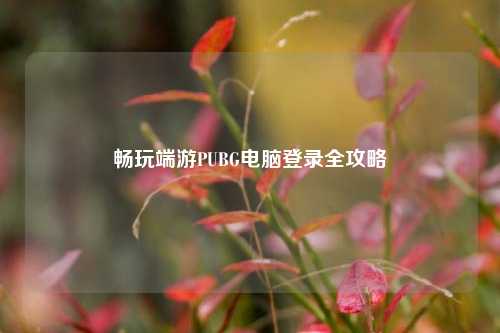 畅玩端游PUBG电脑登录全攻略
