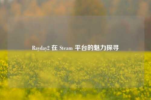 Rayday2 在 Steam 平台的魅力探寻