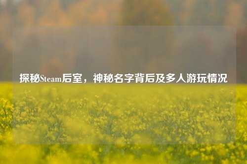 探秘Steam后室，神秘名字背后及多人游玩情况