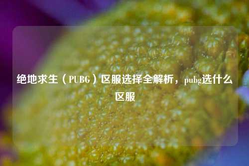 绝地求生（PUBG）区服选择全解析，pubg选什么区服