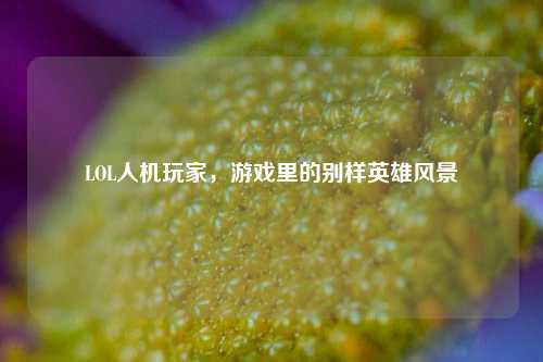 LOL人机玩家，游戏里的别样英雄风景