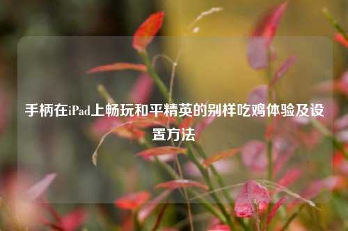 手柄在iPad上畅玩和平精英的别样吃鸡体验及设置方法