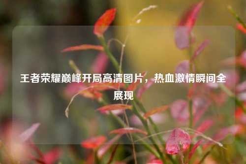 王者荣耀巅峰开局高清图片，热血激情瞬间全展现