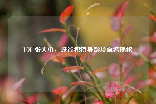 LOL 张大勇，峡谷独特身影及真名揭秘