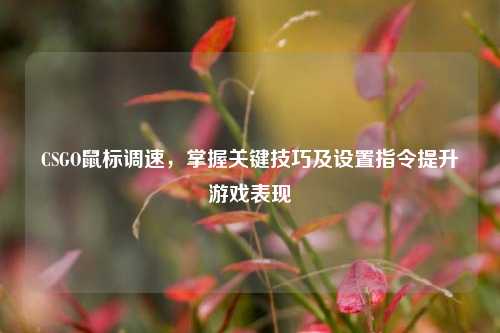 CSGO鼠标调速，掌握关键技巧及设置指令提升游戏表现