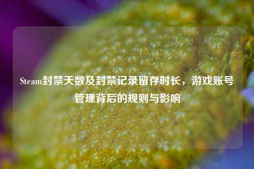 Steam封禁天数及封禁记录留存时长，游戏账号管理背后的规则与影响