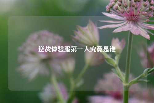 逆战体验服第一人究竟是谁