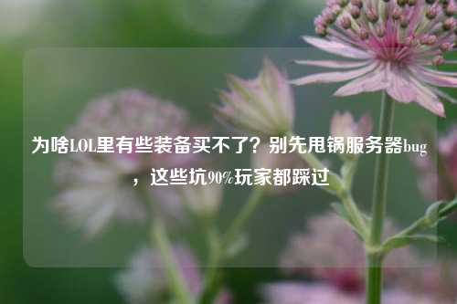 为啥LOL里有些装备买不了?别先甩锅服务器bug,这些坑90%玩家都踩过