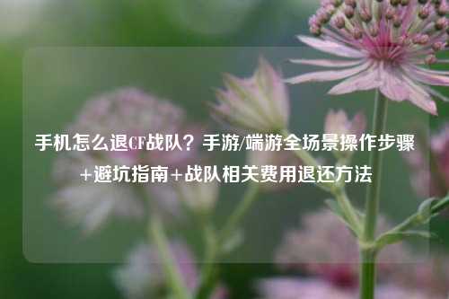 手机怎么退CF战队?手游/端游全场景操作步骤+避坑指南+战队相关费用退还方法