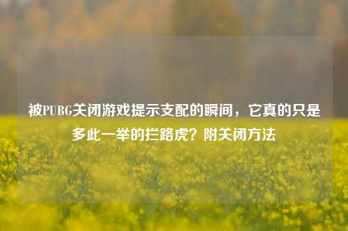 被PUBG关闭游戏提示支配的瞬间,它真的只是多此一举的拦路虎?附关闭方法
