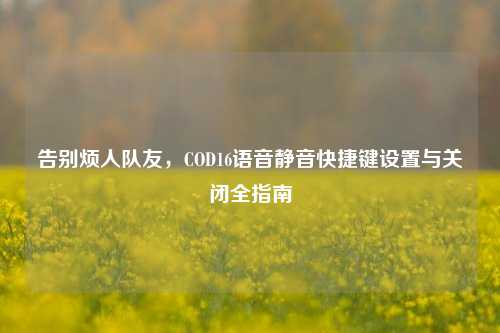 告别烦人队友，COD16语音静音快捷键设置与关闭全指南
