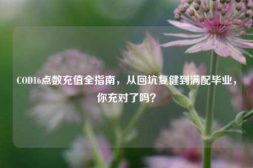 COD16点数充值全指南，从回坑复健到满配毕业，你充对了吗？