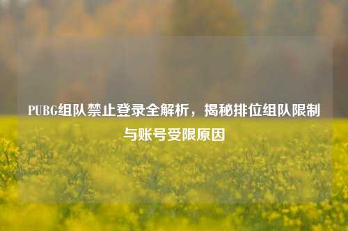 PUBG组队禁止登录全解析，揭秘排位组队限制与账号受限原因
