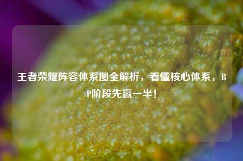 王者荣耀阵容体系图全解析,看懂核心体系,BP阶段先赢一半!
