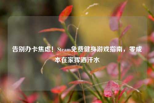 告别办卡焦虑!Steam免费健身游戏指南,零成本在家挥洒汗水