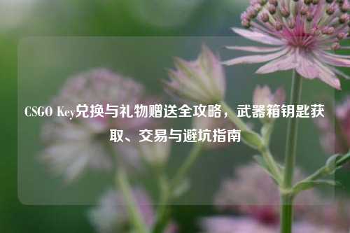 CSGO Key兑换与礼物赠送全攻略,武器箱钥匙获取、交易与避坑指南
