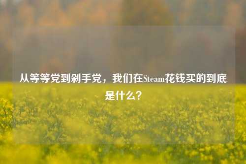 从等等党到剁手党,我们在Steam花钱买的到底是什么?