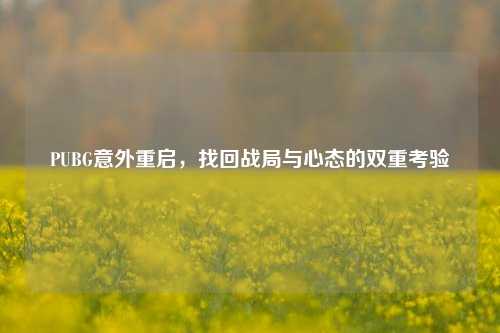 PUBG意外重启,找回战局与心态的双重考验