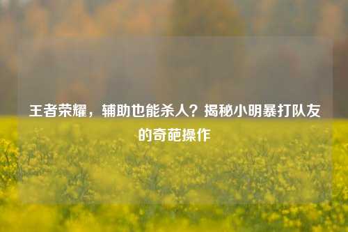 王者荣耀，辅助也能杀人？揭秘小明暴打队友的奇葩操作