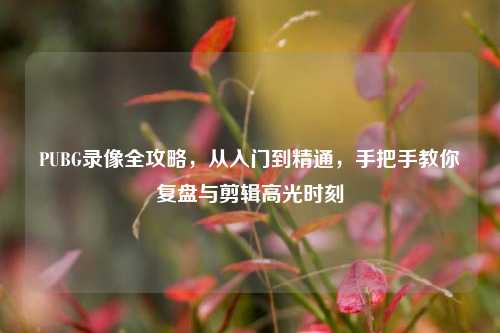 PUBG录像全攻略,从入门到精通,手把手教你复盘与剪辑高光时刻