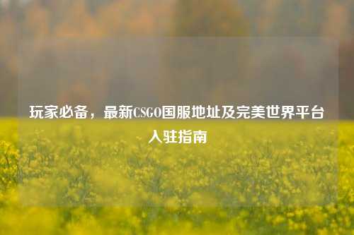 玩家必备,最新CSGO国服地址及完美世界平台入驻指南