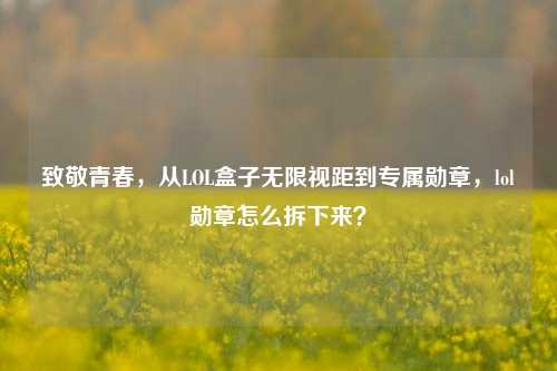 致敬青春,从LOL盒子无限视距到专属勋章,lol勋章怎么拆下来?
